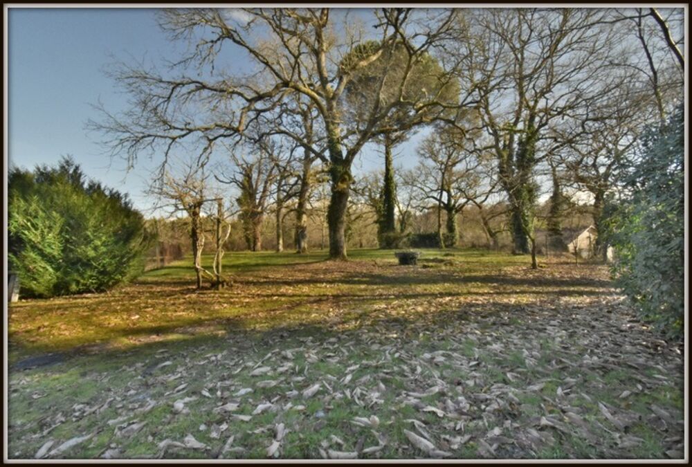 PROCHE DAX ( Mi-Chemin entre Dax & Mont de Marsan ) - MAGNIFIQUE VILLA LANDAISE de 266 m2 - 7 CHAMBRES