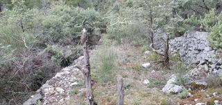  Terrain � vendre 9505 m�