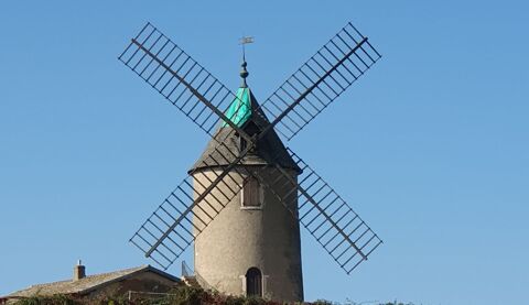 A vendre vignes AOC Moulin &agrave; Vent 22000 71570 Romaneche thorins