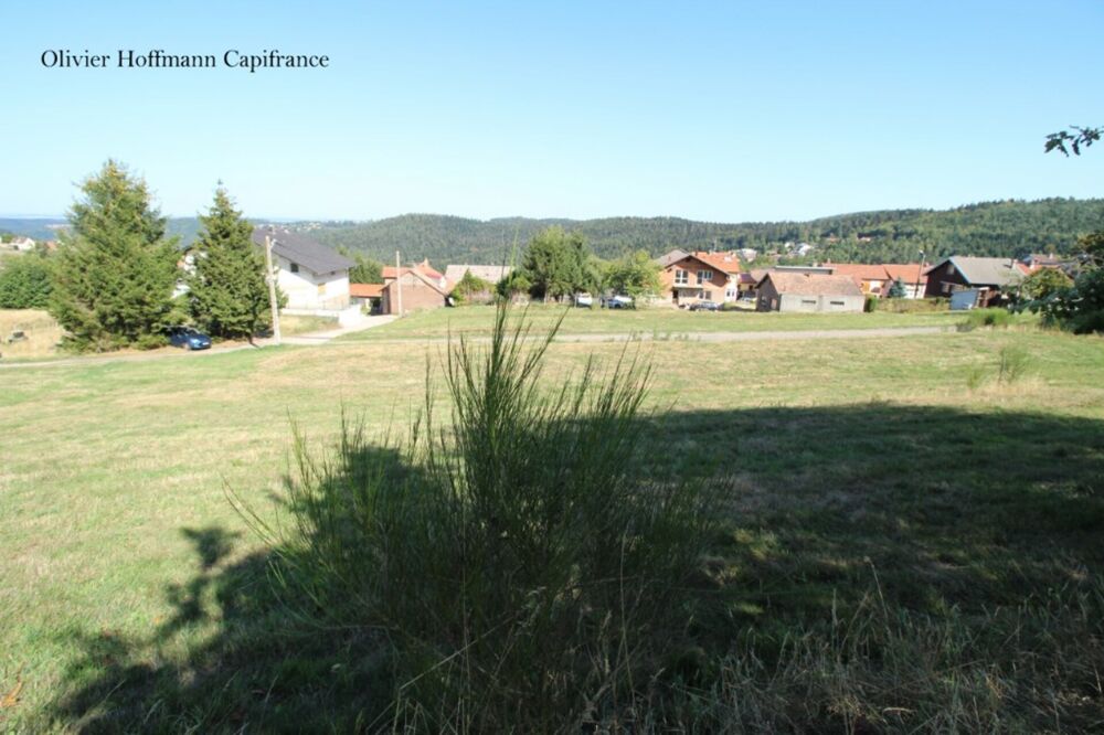 Vente Terrain Dpt Moselle (57), à vendre DABO terrain - Terrain de 1840,00 m² contructible Dabo