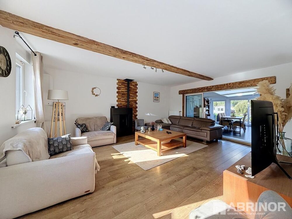 Flamande de semi plain pied