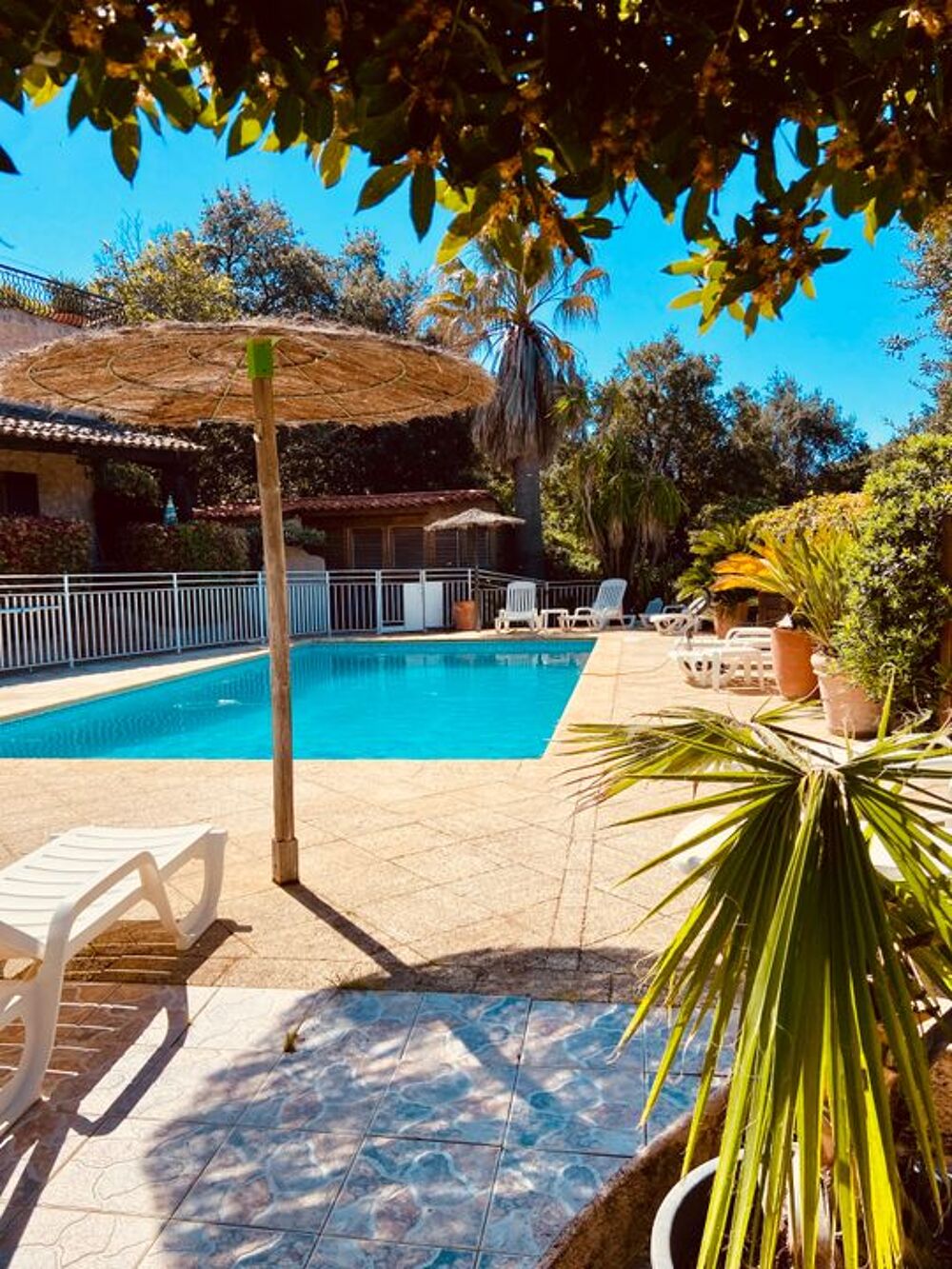 Location Appartement Studio de 20m2 à louer sur Fréjus Frejus