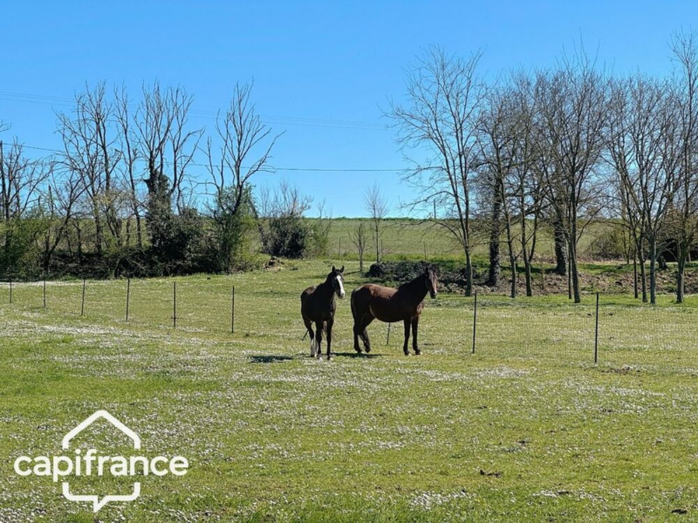 Vente Maison Propriété 12 pièces proche de THOUARS (79) un lieu d'exception Thouars