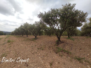  Terrain � vendre 7000 m�