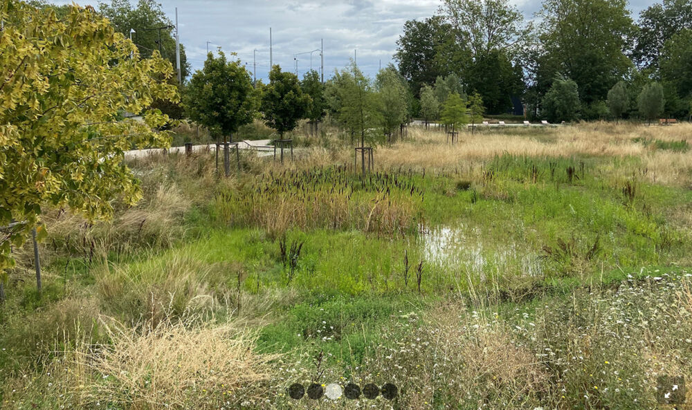 A ILLKIRCH, un 4 pièces dans les frondaisons du canal