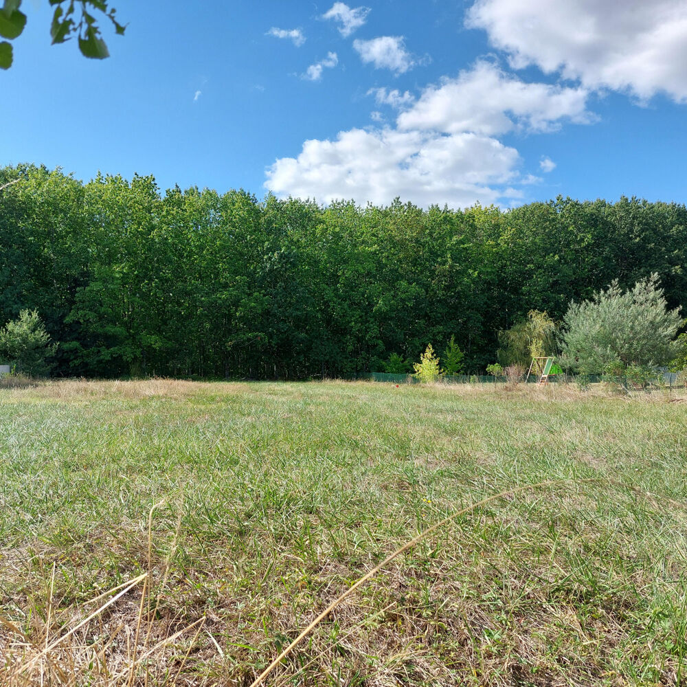 Vente Terrain Terrain à vendre de 1 032,00 m² MONTAUBAN (82) secteur Saint Martial Montauban