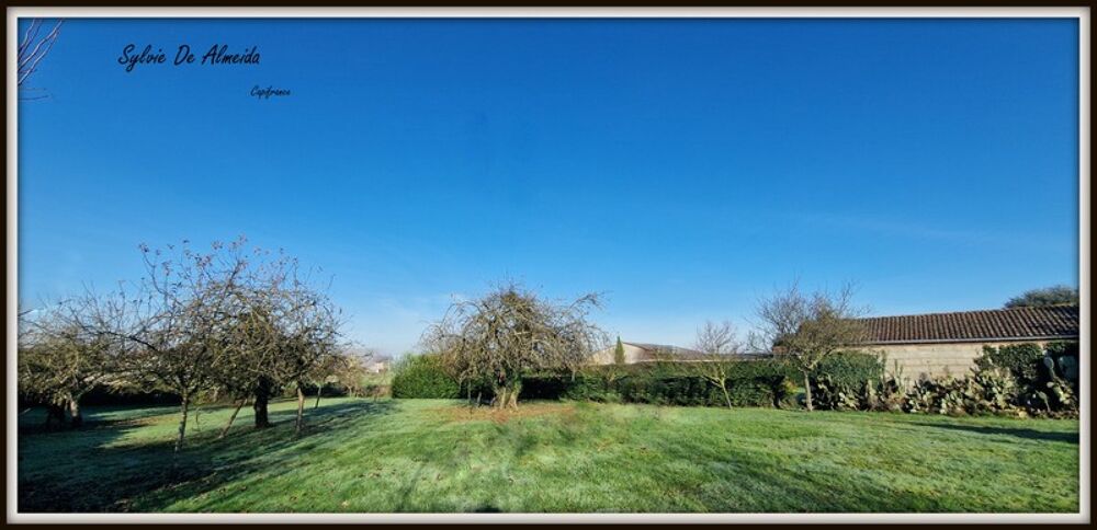 Vente Terrain Terrain constructible, 1600 m²,  hors lotissement, Feillens proche Mâcon Feillens