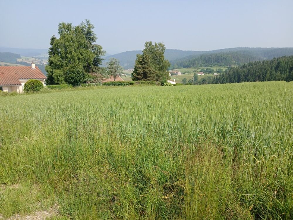 Vente Terrain Terrain à vendre de 950,00 m² DUNIERES (43) Dunieres