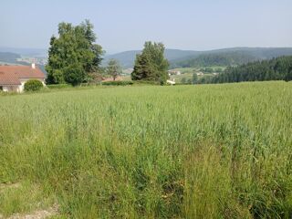 Terrain à vendre 950 m²