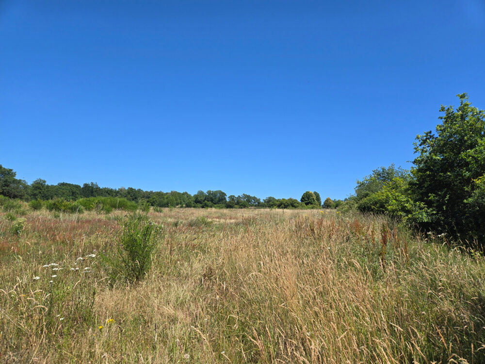 Vente Terrain 90 HECTARES DE TERRE AGRICOLE Oradour sur vayres