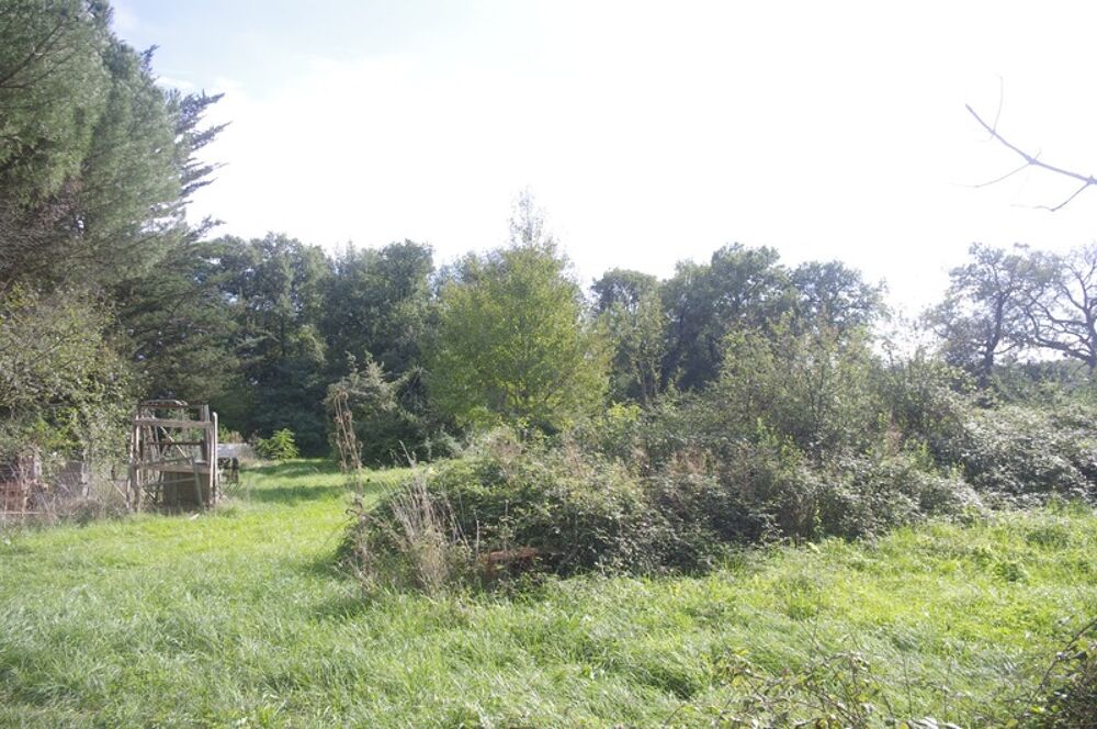 Vente Maison Maison en pierre à restaurer de 200 m², 8 pièces à aménager, terrain d'environ 3ha située au calme à vendre Saint jean poutge