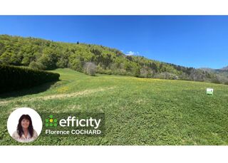  Terrain à vendre 50000 m²