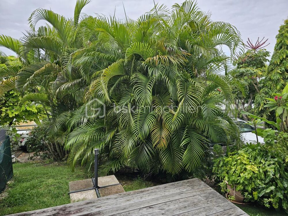 � vendre  Propri�t�/ch�teau Sainte-Anne (97180)