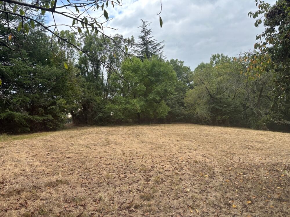 Vente Terrain Terrain à vendre de 2 247,00 m²  () Pouyastruc