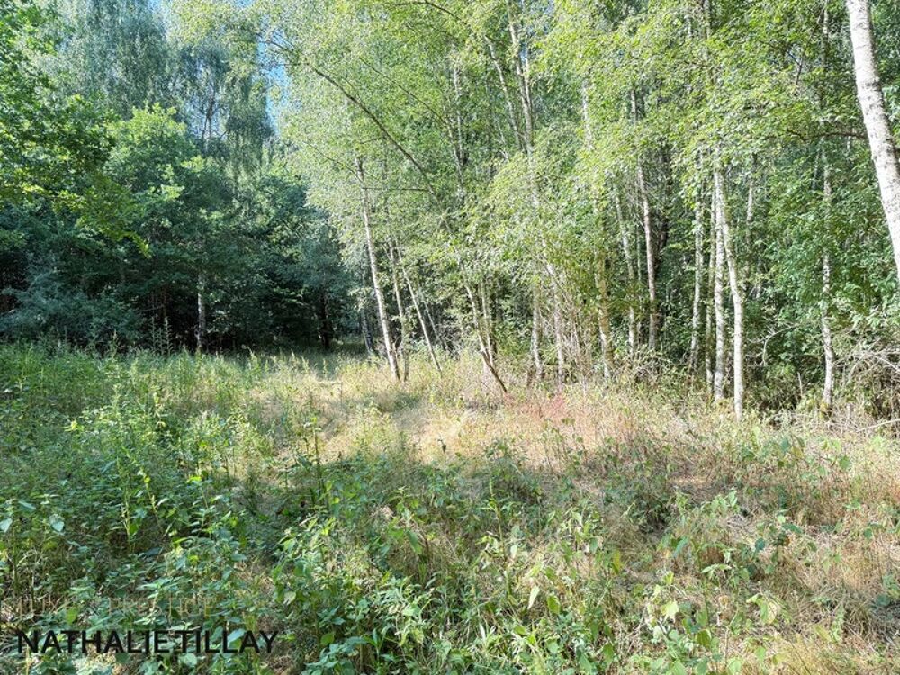  vendre  Maison Ingr (45140)