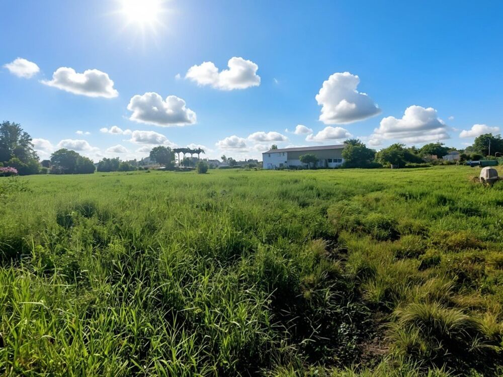 Vente Terrain Grand Terrain plat constructible UG à vendre de 3 441,00 m² SAINTE ANNE (971) Sainte anne