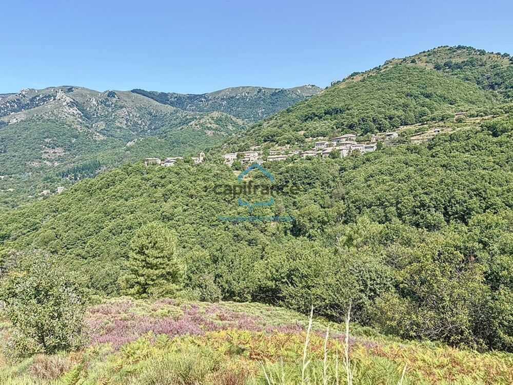 Vente Maison Maisons à vendre 12 pièces LABOULE (07) - Terrain 3 ha 25 a Laboule