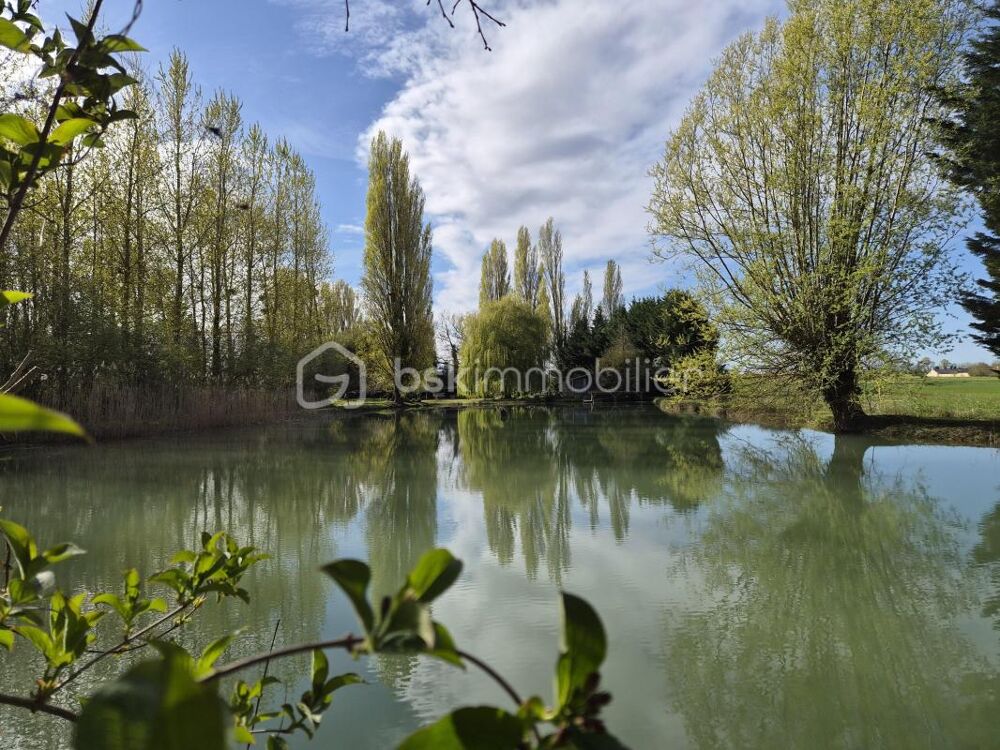 Vente Terrain Terrain de loisirs 11 000 m² – étang 6 000 m² Angliers