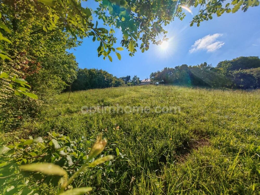Vente Terrain BAISSE DE PRIX !! Terrain constructible de 1 650m² situé à EAUZE (32) Eauze