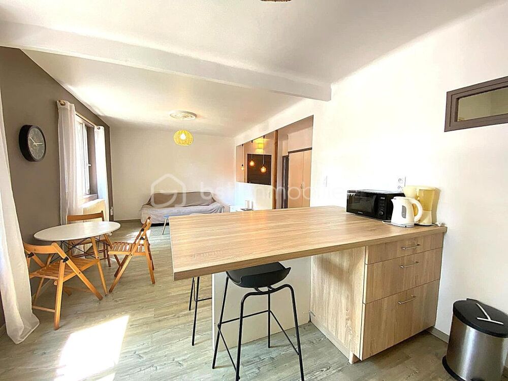 Vente Appartement MILLAU – T3 RÉNOVÉ AVEC JARDIN PRIVATIF ET 42 M² DE DÉPENDANCES Millau