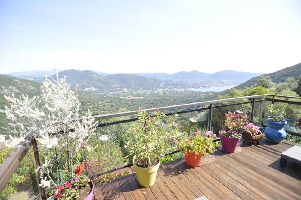 à vendre  Maison Olmeto (20113)
