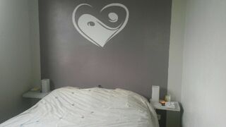  Appartement � louer 3 pi�ces 53 m�