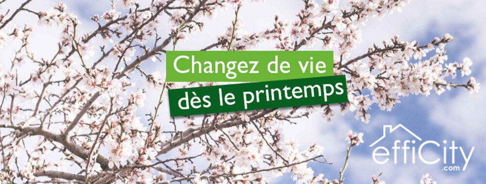 � vendre  Maison Rennes (35700)