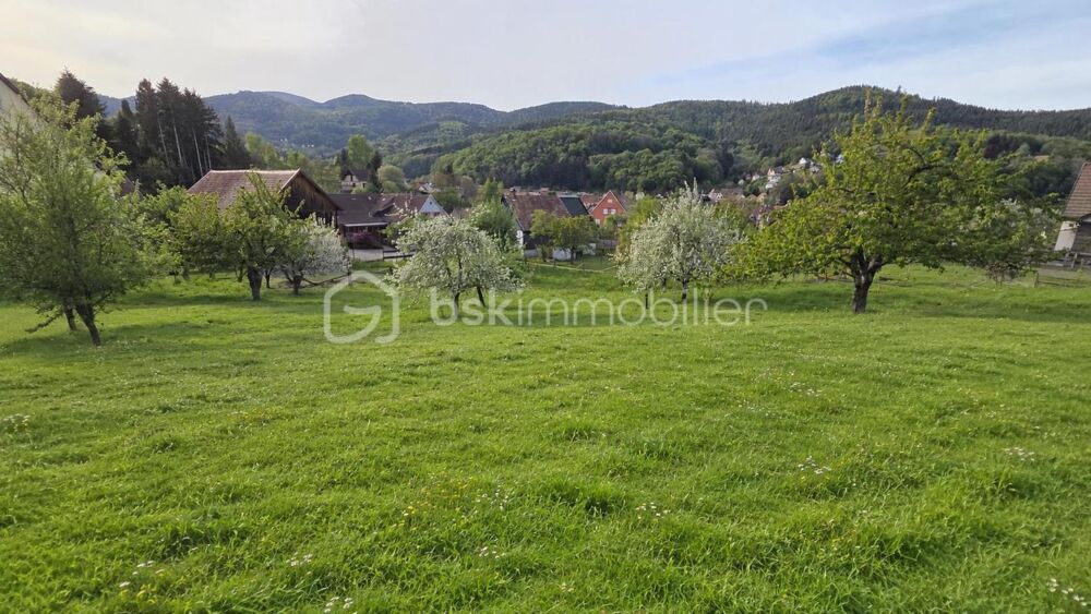 Vente Terrain À VENDRE – TERRAIN À BÂTIR 599 m² À BREITENBACH (68) Breitenbach haut rhin