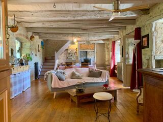  Maison à vendre 15 + pièces 440 m²