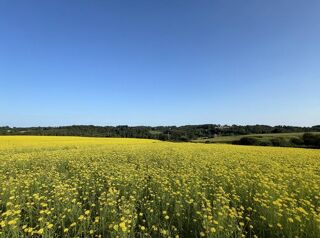  Maison � vendre 1 pi�ce 1600 m�