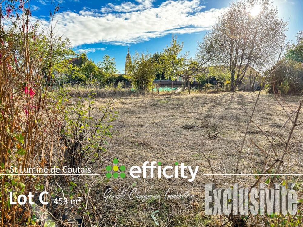 Vente Terrain Terrain Saint lumine de coutais