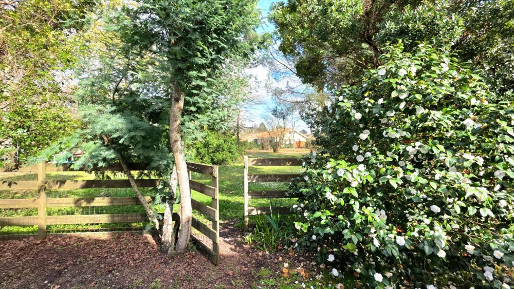 Vente Maison Maison Le Pian Medoc 4 pièce(s) 115 m2 Le pian medoc