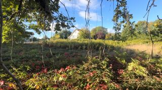  Terrain à vendre 1265 m²