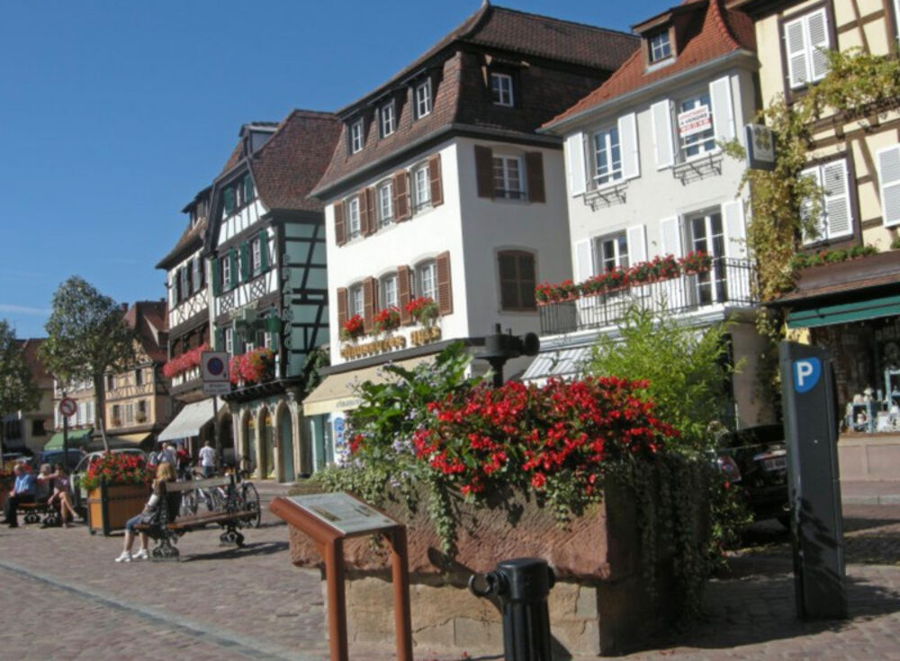 Un cadre de vie exceptionnel à OBERNAI face au parc