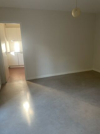  Appartement à louer 1 pièce 30 m²