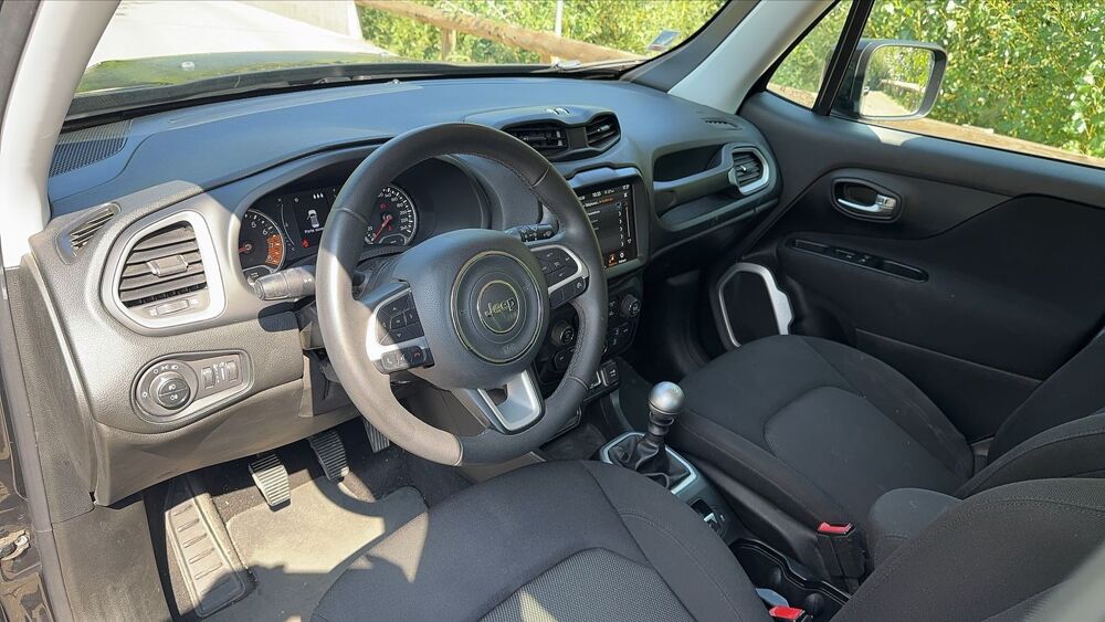 Renegade 1.0 GSE GPF 2WD 120 CV Longitude Buisness 2018 occasion 38180 Seyssins