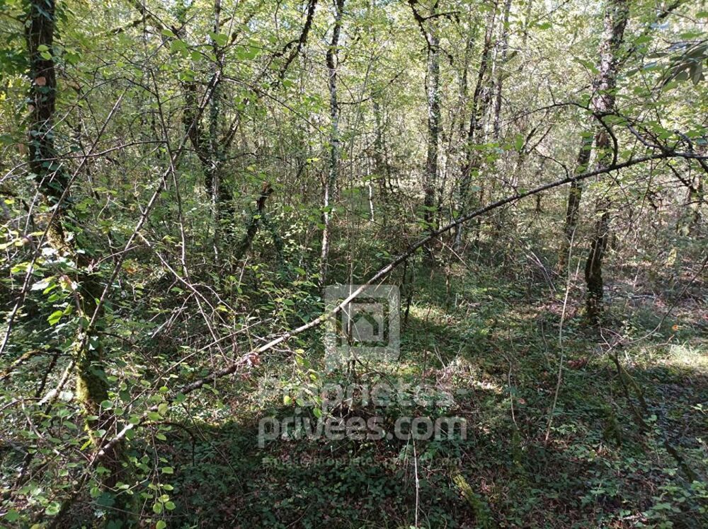 Vente Terrain Terrain Montgesty 4515 m2 Montgesty