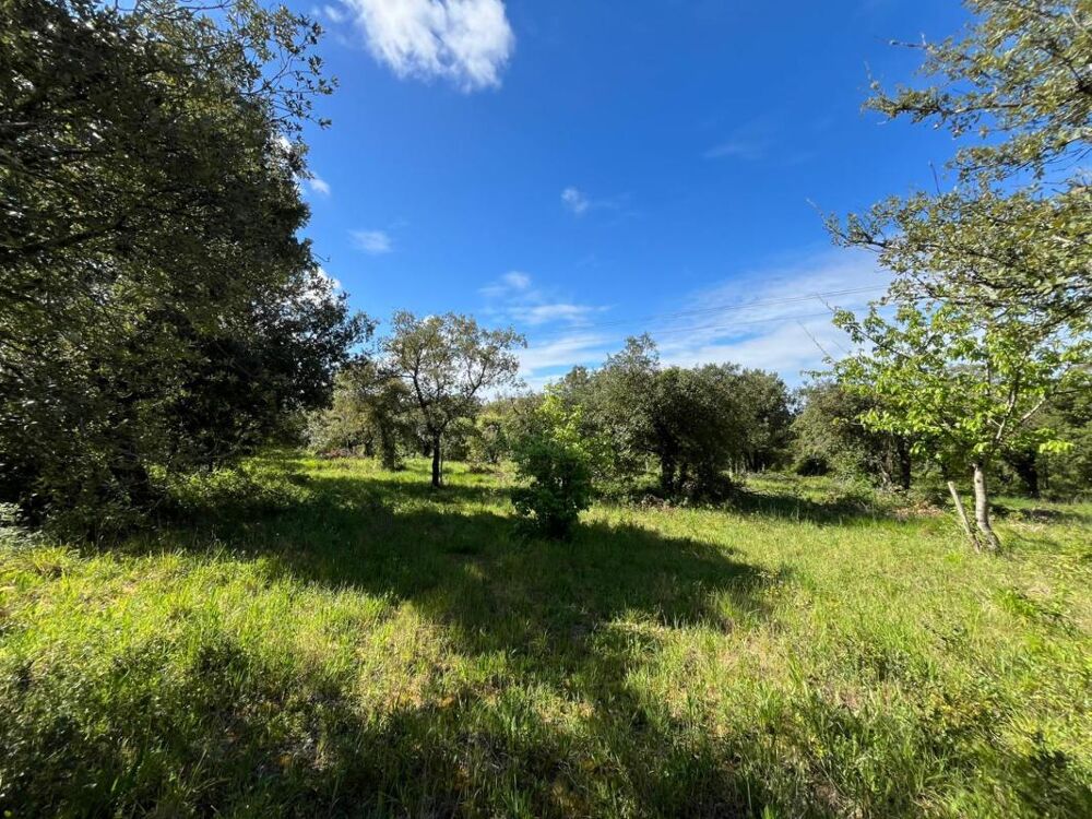 Vente Terrain Terrain Saint thomas de conac
