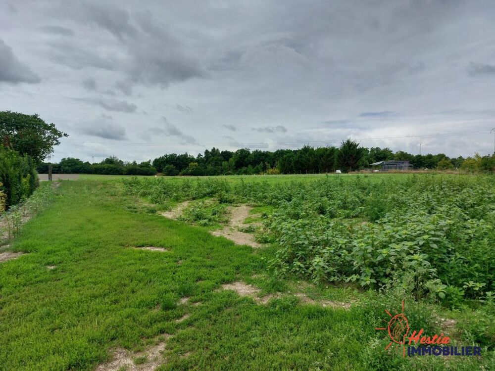 Vente Terrain LA NEUVILLE AU TEMPLE : 3 Terrains à bâtir viabilisés et libr Saint hilaire au temple
