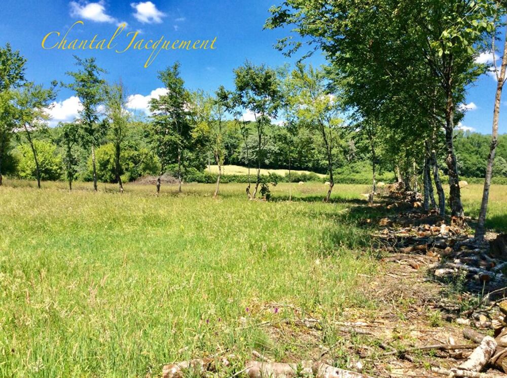 Vente Terrain TERRAIN A BATIR Saint jean de cole