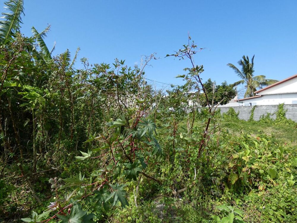 Vente Terrain 97470 Saint Benoit terrain constructible 511 m2 en zone Ua13 Saint benoit