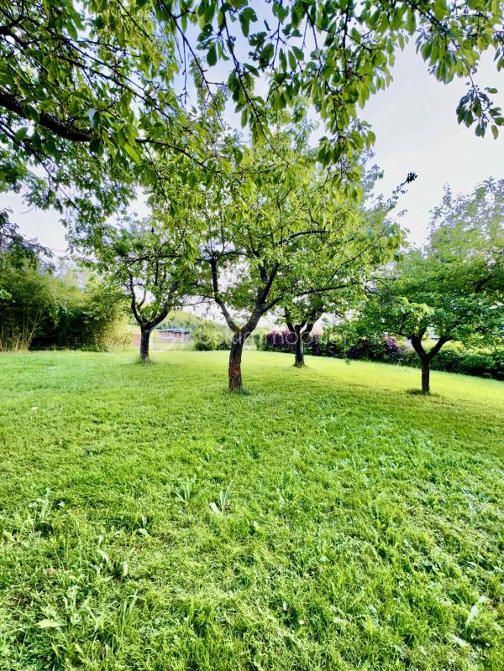 Vente Terrain Rare à la vente – Terrain d'Exception au Pied du Château – 25 M de façade  – 1000 m² de Nature et de Calme Ham sous varsberg
