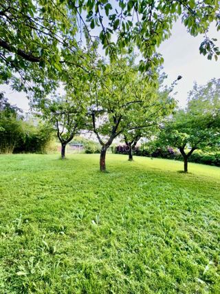  Terrain à vendre 1000 m²