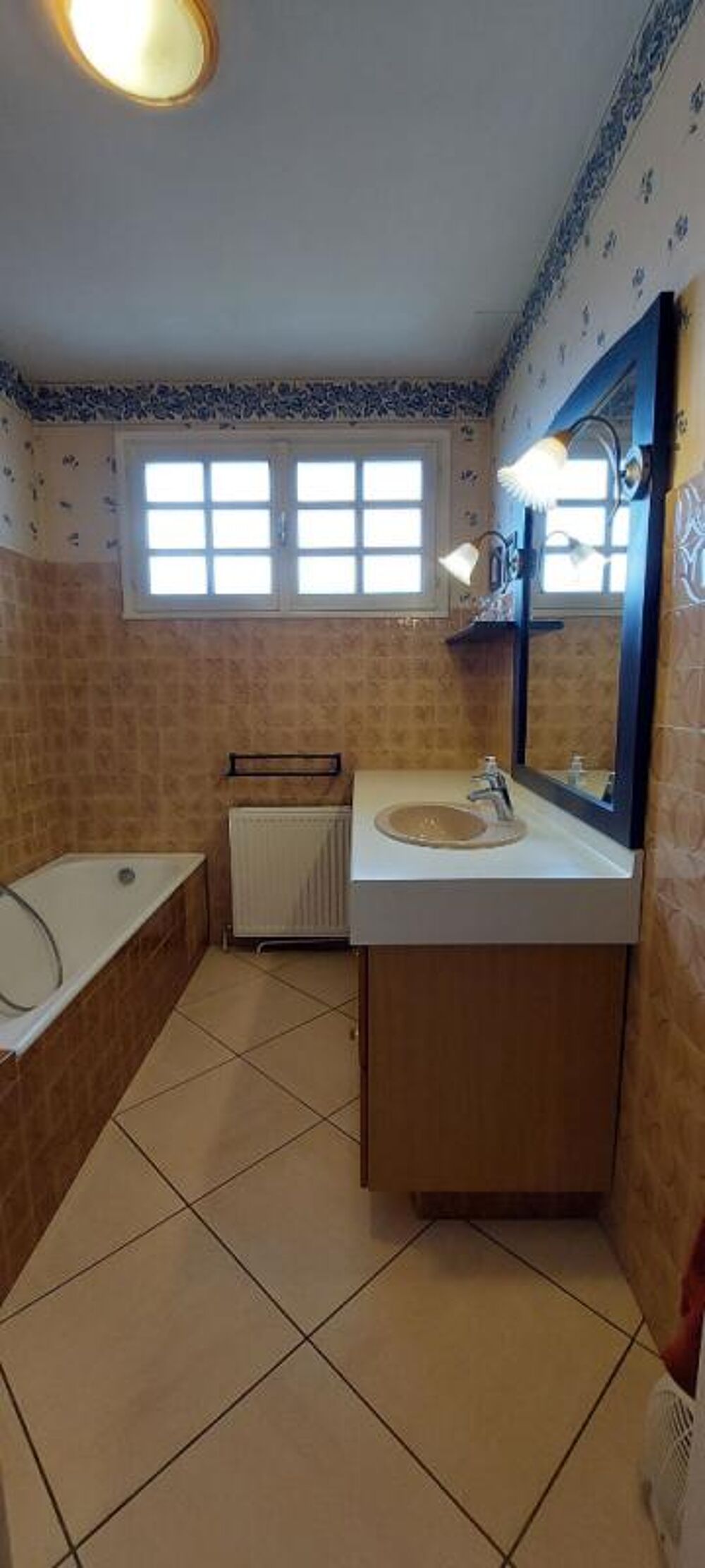 � vendre  Villa Champagne-au-Mont-d'Or (69410)