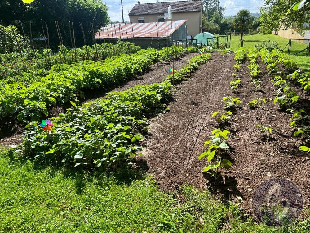 Vente Terrain TERRAIN ARBORE Saivres