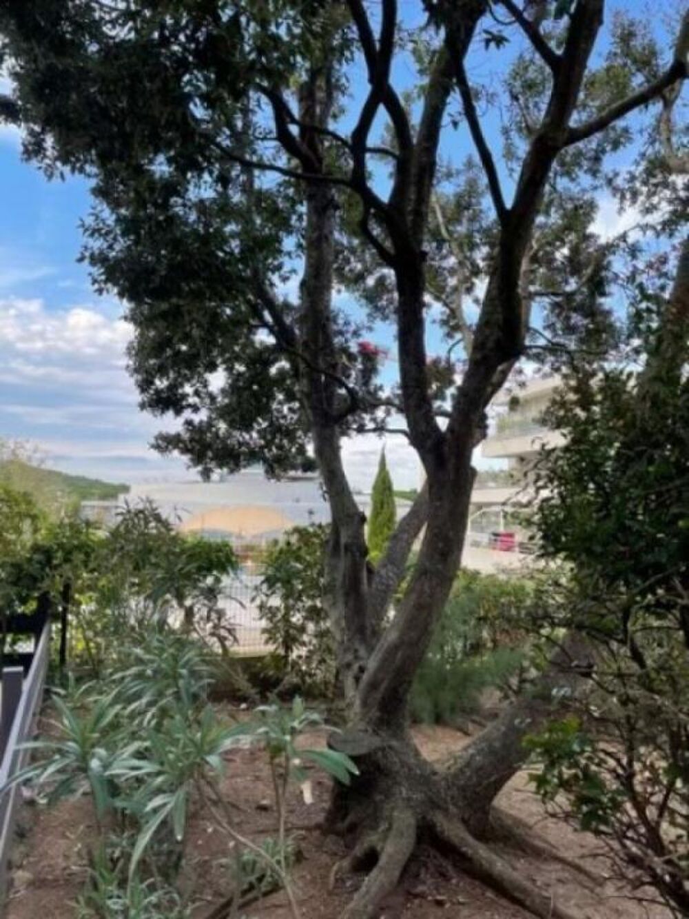APPARTEMENT ,PROXIMITÉ DU PORT ,QUAI PRINIPALE ,CENTRE