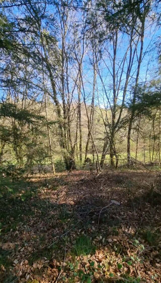  Maison � vendre 8 pi�ces 180 m�