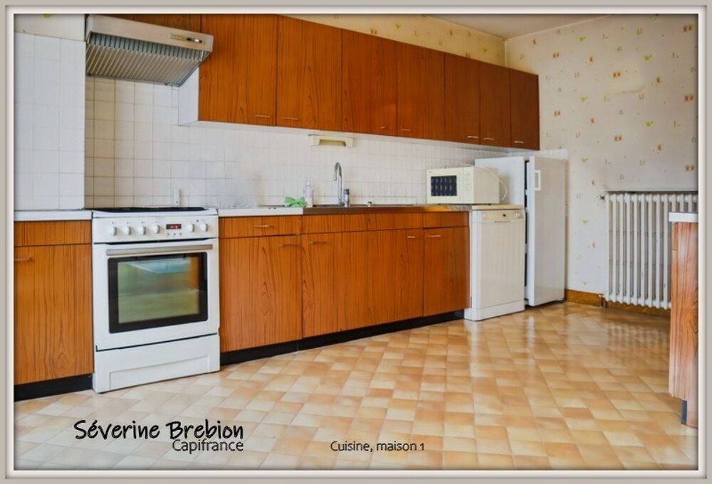 Ensemble immobilier de 2 maisons avec jardin et garage CHABRELOCHE (63)