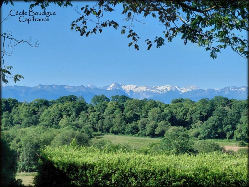 Entre Pau et Tarbes à 7 kms de Soumoulou Maison d'architecte belle vue sur Pyrénées 16000 m² de terrain