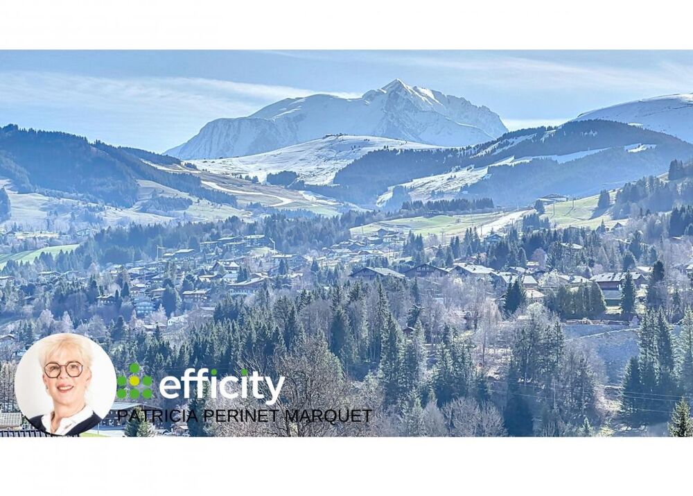  vendre  Chalet Megve (74120)